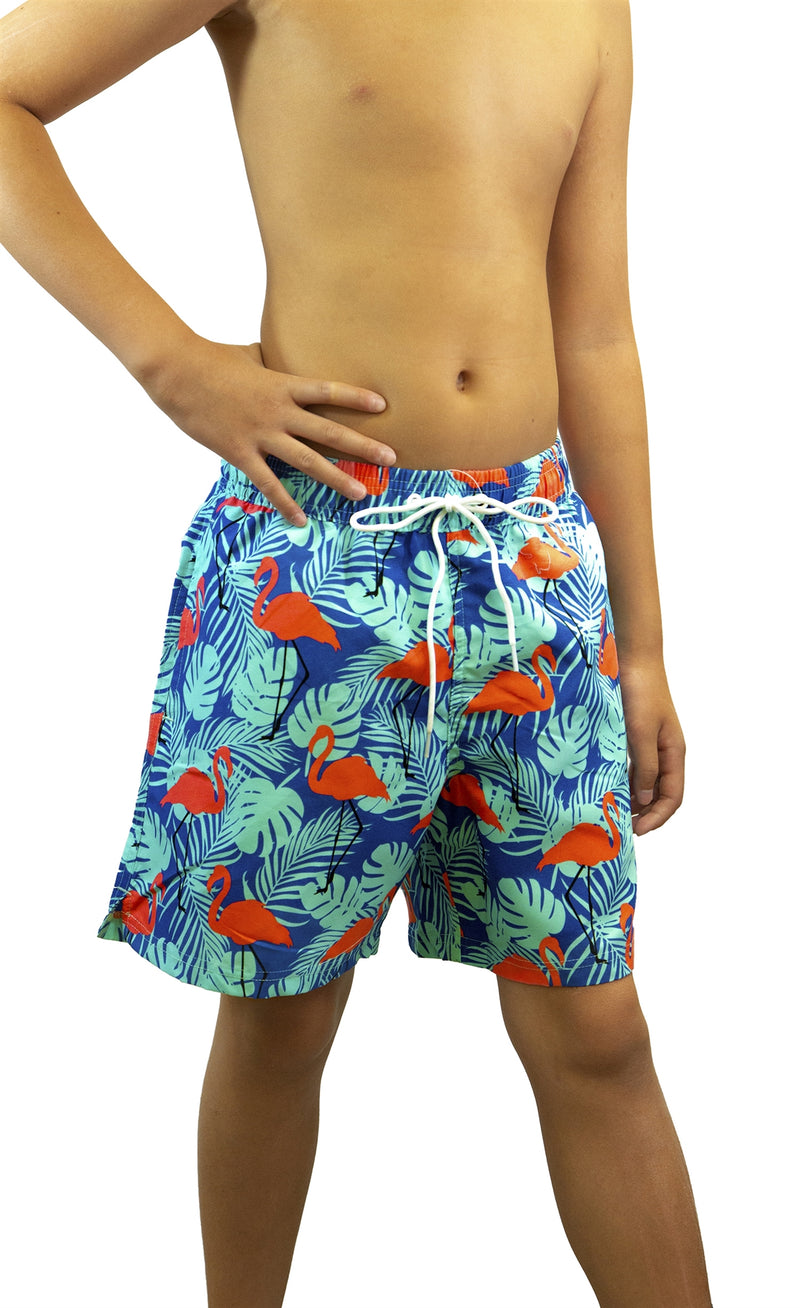 Adoretex Boy's Flamingo Printed Beach Board Shorts (MP018)